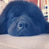 LA MEJOR HORA DEL DIA