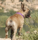 PRECIOSO PERFIL DE MI RUBIA