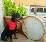 Wayra siguiendo nuestra tradici�n