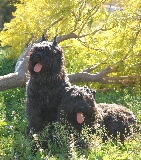 LLEG� LA PRIMAVERA