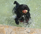 Vuelvo con mi pelota.