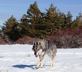 que fresquito��� 2