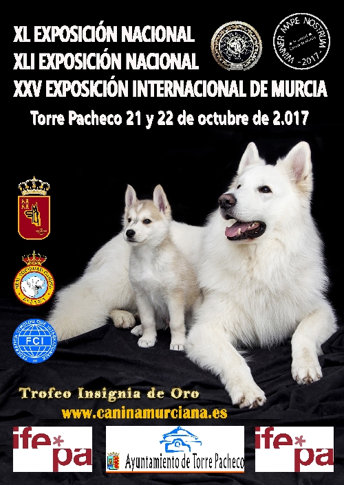 Contact:  EXPOSICION INTERNACIONAL DE TORRE PACHECO: XLI C.A.C. / XXV C.A.C.I.B