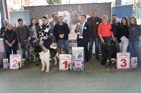 Canina Murciana Juez: 