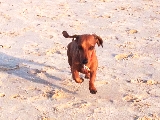 voy corriendo!!
