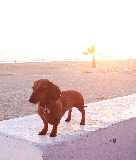 playa..