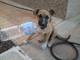 No es una botella, es mi juguete