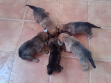 A comeeerrrr