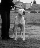 hispano del peryan