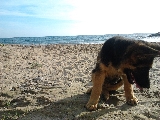 Mi peque�o Duque