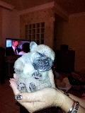 la peque�a greta
