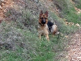 Conan en el monte