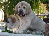 � que miras no voy comer tus plantas!!