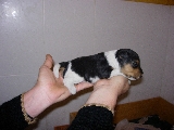 ,,ssssss,,que esta so�ando,,,,,,,,,,