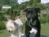 LILI Y TAZ