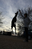 Tarde de campo