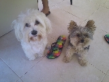 mi amigo !!!