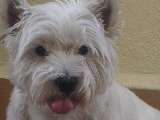 Ma�k y su lenguecilla!!