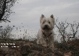 Ma�k observando.
