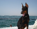 Me encanta navegar
