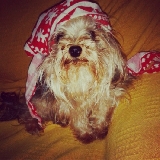 OLe mi Toby!!!