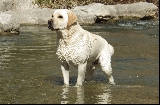 Taleem Turning Point