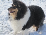 HOLA ME LLAMO " YURI " , AQUI ESTOY DISFRUTANDO DE LA NIEVE POR PRIMERA VEZ....