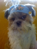 Mi Sheyla!!!