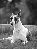 La Tana