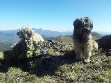 Gilda & Cugar en lo m�s alto...