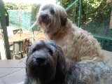 Gilda y Cugar inseparables...