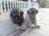 Gilda & Cugar