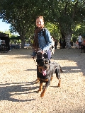 Campeonato Nacional Canino (El Escorial)