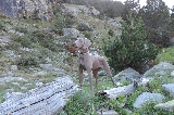 De ruta