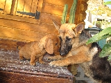 �QUIERES SER MI AMIGA?