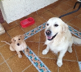 Scrappy y Aleks