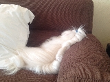 Una siesta