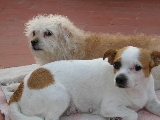 mis ni�as