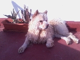 fresquita y al sol