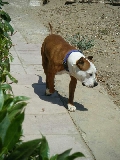 paseando solo por mazarron