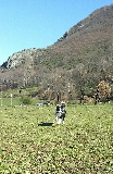 mi border collie!!