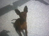 tomando el sol