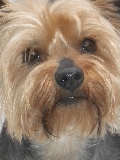 CONCURSO FOTOGR�FICO (Gucci)