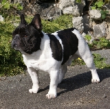 CH AM CARTIER PAR ESQUISSE