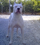 con 15 meses (ahora campeon de espa�a, 2 a�os y 9 meses)