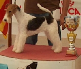 CH. DE GALIFFA LA BAMBA