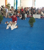 CH. DE GALIFFA MC. GREGOR