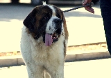 �Qu� calor!