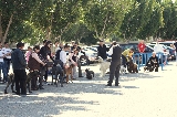 Todos al ring