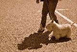 Paseo Triunfal